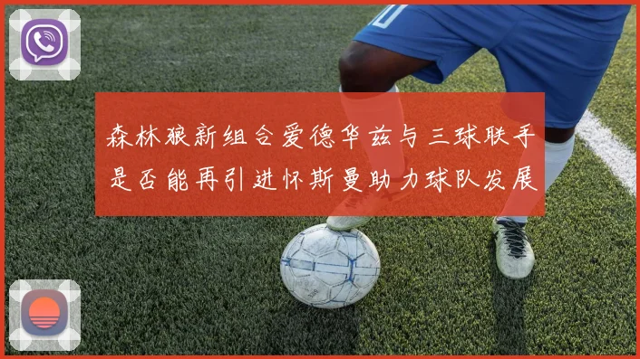 森林狼新组合爱德华兹与三球联手是否能再引进怀斯曼助力球队发展